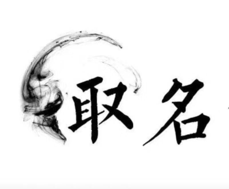  大丰宝宝取名 大师一对一人工起名