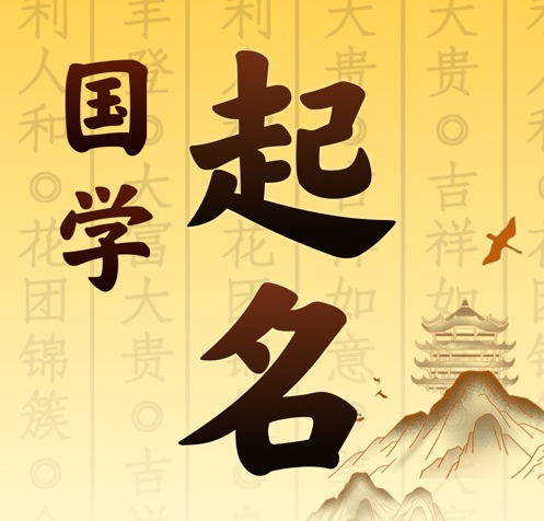 大丰国学起名 人工起名一对一